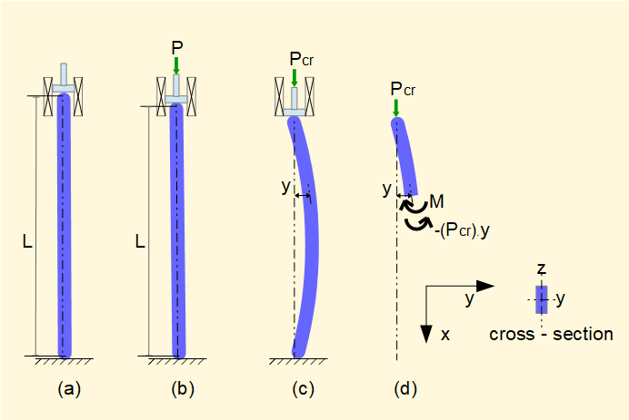 buckling of Euler column